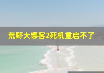 荒野大镖客2死机重启不了