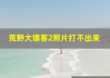 荒野大镖客2照片打不出来