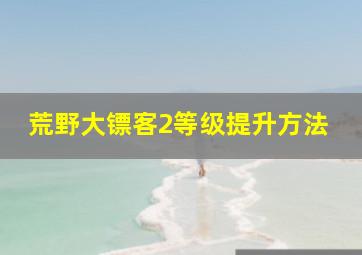 荒野大镖客2等级提升方法