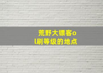 荒野大镖客ol刷等级的地点