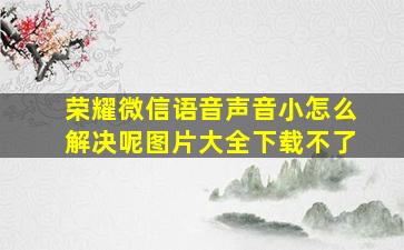 荣耀微信语音声音小怎么解决呢图片大全下载不了