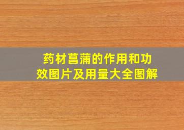 药材菖蒲的作用和功效图片及用量大全图解