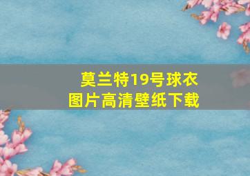 莫兰特19号球衣图片高清壁纸下载