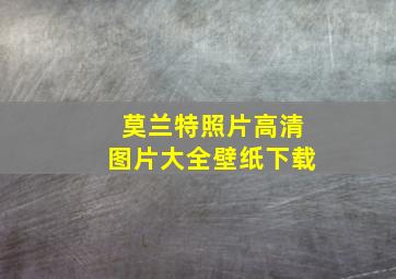 莫兰特照片高清图片大全壁纸下载