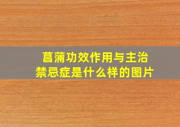 菖蒲功效作用与主治禁忌症是什么样的图片