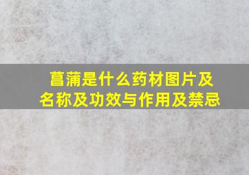 菖蒲是什么药材图片及名称及功效与作用及禁忌