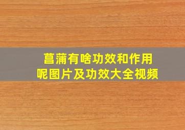 菖蒲有啥功效和作用呢图片及功效大全视频