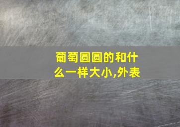 葡萄圆圆的和什么一样大小,外表