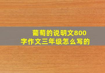 葡萄的说明文800字作文三年级怎么写的