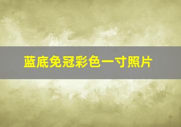 蓝底免冠彩色一寸照片