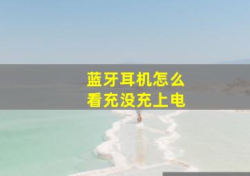 蓝牙耳机怎么看充没充上电