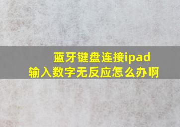 蓝牙键盘连接ipad输入数字无反应怎么办啊