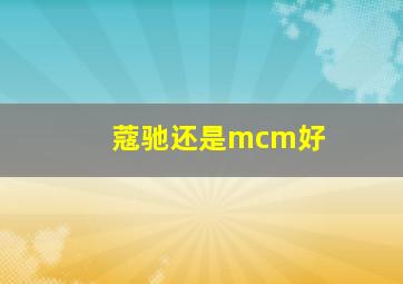 蔻驰还是mcm好