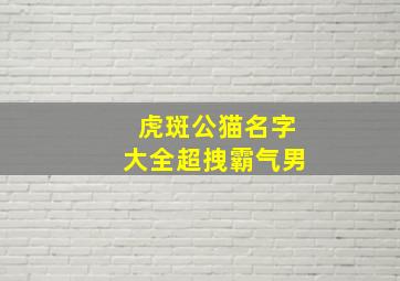 虎斑公猫名字大全超拽霸气男