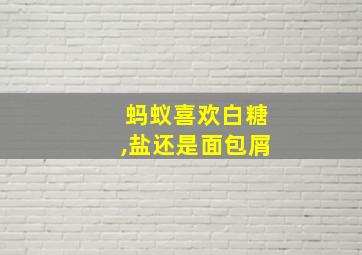 蚂蚁喜欢白糖,盐还是面包屑