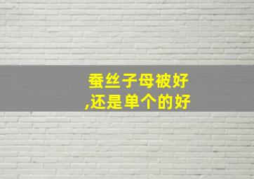 蚕丝子母被好,还是单个的好