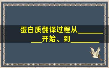 蛋白质翻译过程从__________开始、到__________结束