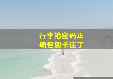 行李箱密码正确但锁卡住了