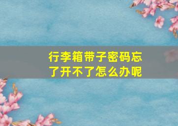 行李箱带子密码忘了开不了怎么办呢