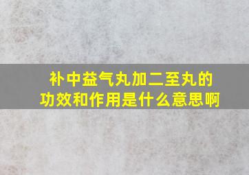 补中益气丸加二至丸的功效和作用是什么意思啊