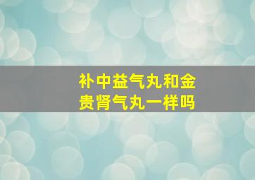 补中益气丸和金贵肾气丸一样吗