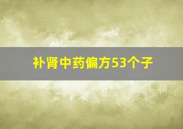 补肾中药偏方53个子