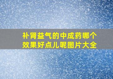 补肾益气的中成药哪个效果好点儿呢图片大全