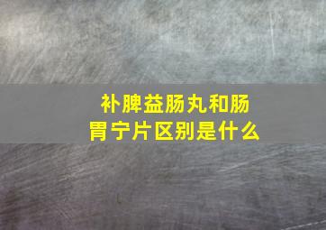 补脾益肠丸和肠胃宁片区别是什么