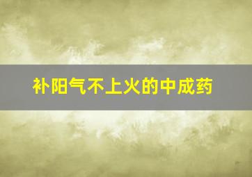 补阳气不上火的中成药