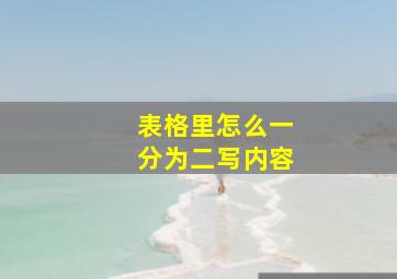 表格里怎么一分为二写内容