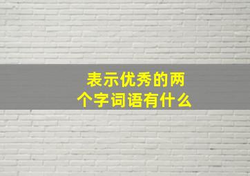 表示优秀的两个字词语有什么