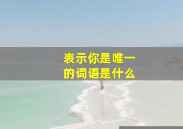 表示你是唯一的词语是什么