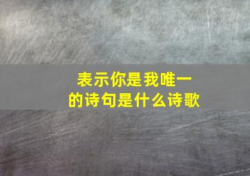 表示你是我唯一的诗句是什么诗歌