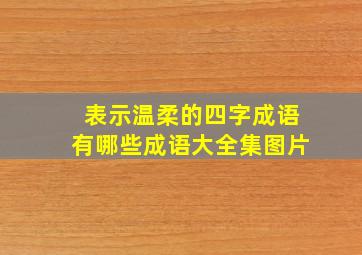 表示温柔的四字成语有哪些成语大全集图片