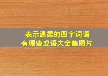 表示温柔的四字词语有哪些成语大全集图片