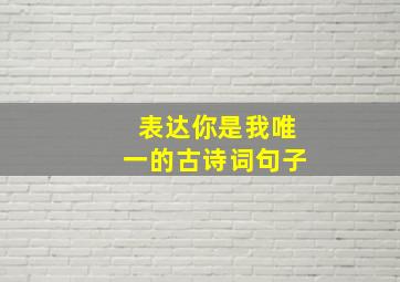 表达你是我唯一的古诗词句子