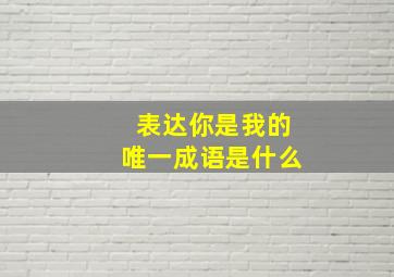 表达你是我的唯一成语是什么