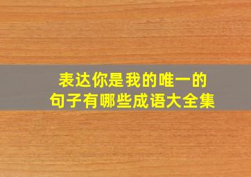 表达你是我的唯一的句子有哪些成语大全集