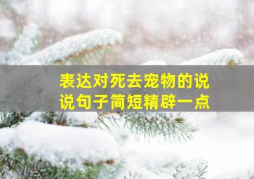 表达对死去宠物的说说句子简短精辟一点