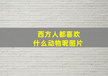 西方人都喜欢什么动物呢图片