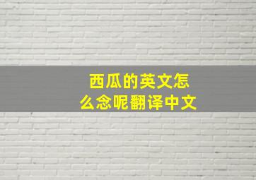 西瓜的英文怎么念呢翻译中文