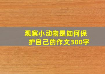 观察小动物是如何保护自己的作文300字