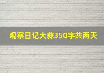 观察日记大蒜350字共两天