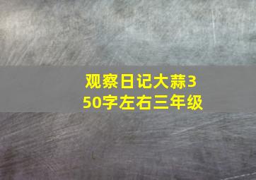 观察日记大蒜350字左右三年级