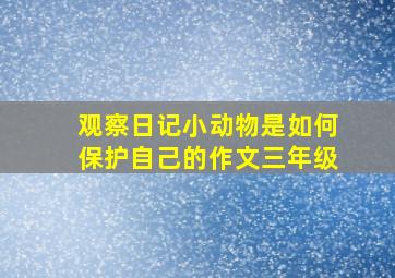 观察日记小动物是如何保护自己的作文三年级