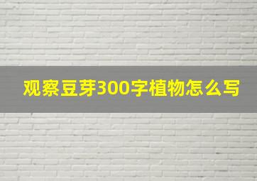 观察豆芽300字植物怎么写