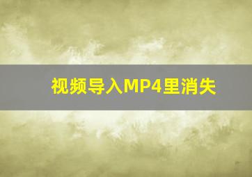 视频导入MP4里消失