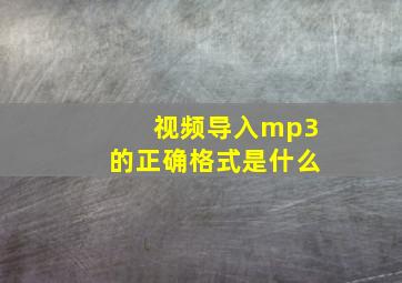 视频导入mp3的正确格式是什么