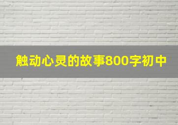 触动心灵的故事800字初中