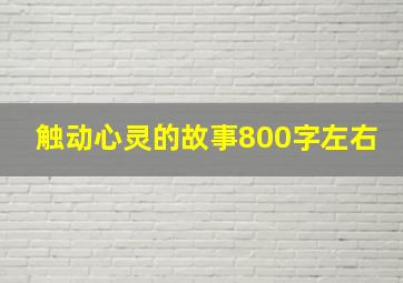 触动心灵的故事800字左右